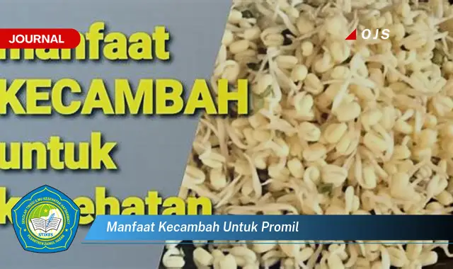 manfaat kecambah untuk promil