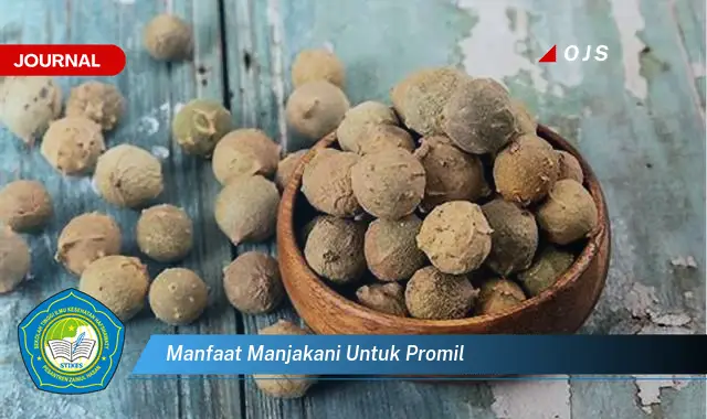 manfaat manjakani untuk promil