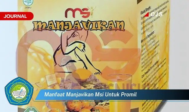 manfaat manjavikan msi untuk promil