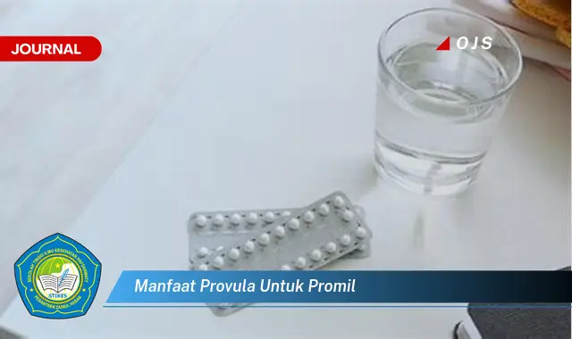 manfaat provula untuk promil