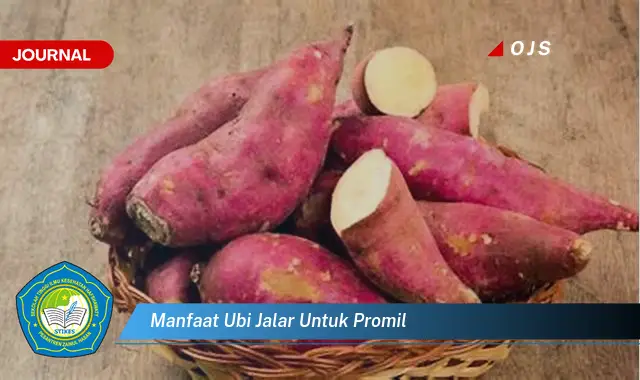 manfaat ubi jalar untuk promil manfaat ubi jalar untuk promil