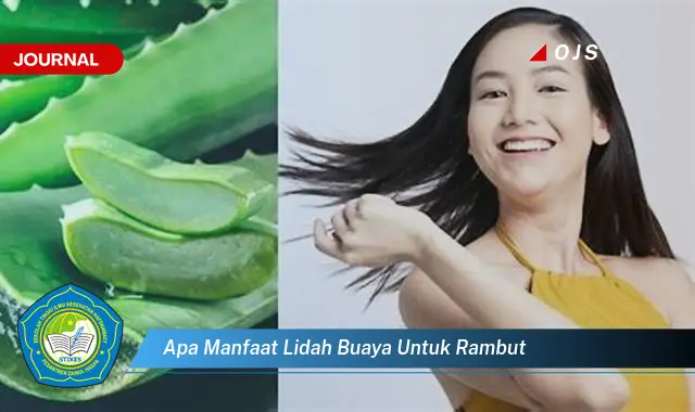 apa manfaat lidah buaya untuk rambut
