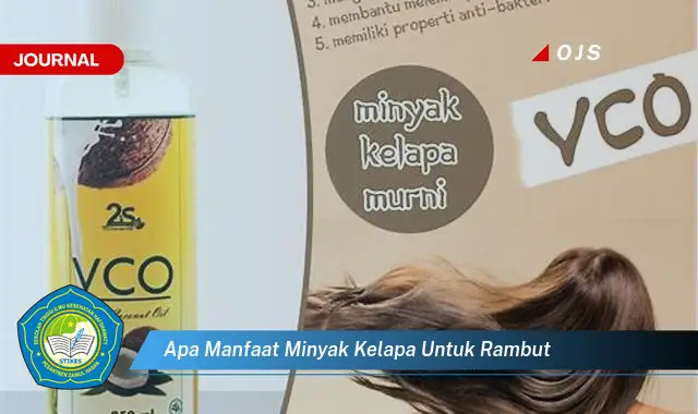apa manfaat minyak kelapa untuk rambut apa manfaat minyak kelapa untuk rambut