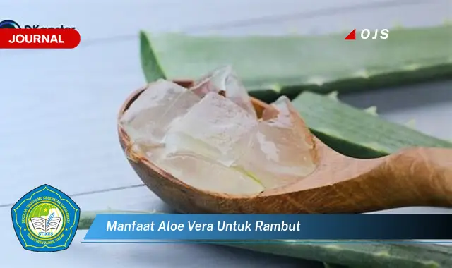 manfaat aloe vera untuk rambut manfaat aloe vera untuk rambut