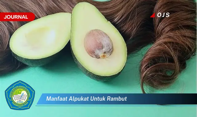 manfaat alpukat untuk rambut