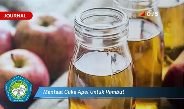 manfaat cuka apel untuk rambut manfaat cuka apel untuk rambut