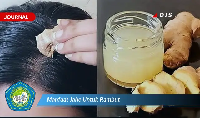 manfaat jahe untuk rambut manfaat jahe untuk rambut