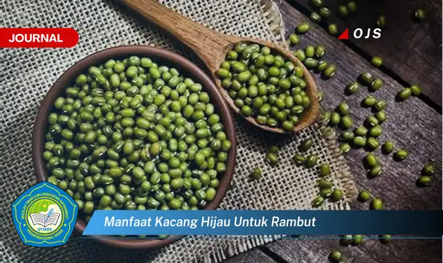 manfaat kacang hijau untuk rambut