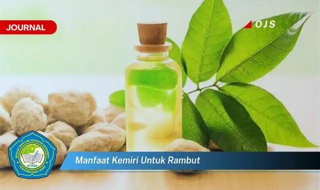 manfaat kemiri untuk rambut