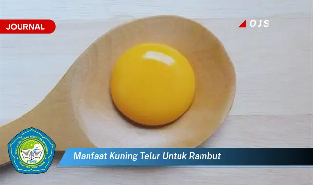 manfaat kuning telur untuk rambut