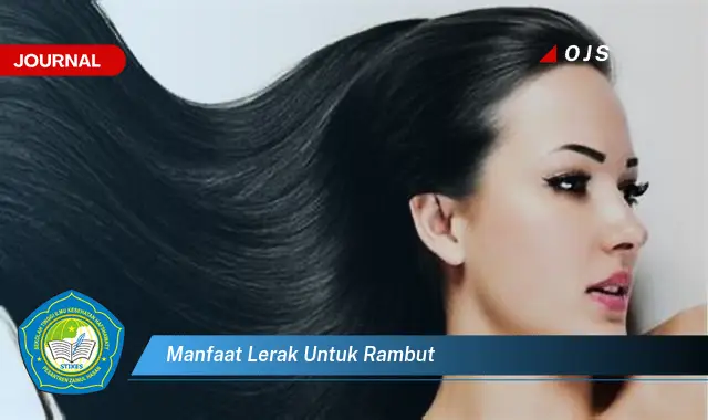 manfaat lerak untuk rambut