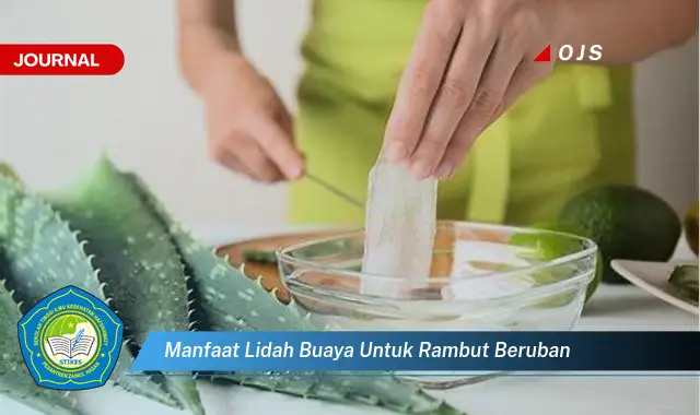 manfaat lidah buaya untuk rambut beruban