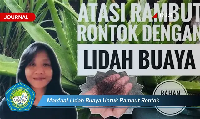manfaat lidah buaya untuk rambut rontok manfaat lidah buaya untuk rambut rontok