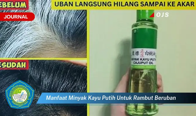 manfaat minyak kayu putih untuk rambut beruban