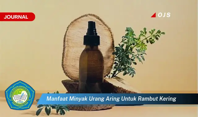 manfaat minyak urang aring untuk rambut kering manfaat minyak urang aring untuk rambut kering