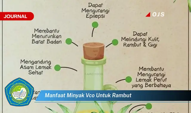 manfaat minyak vco untuk rambut