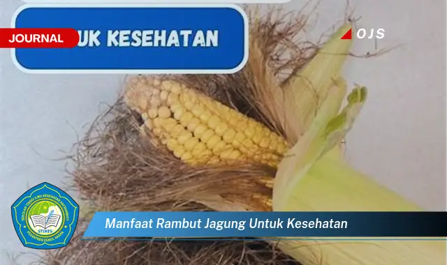 manfaat rambut jagung untuk kesehatan