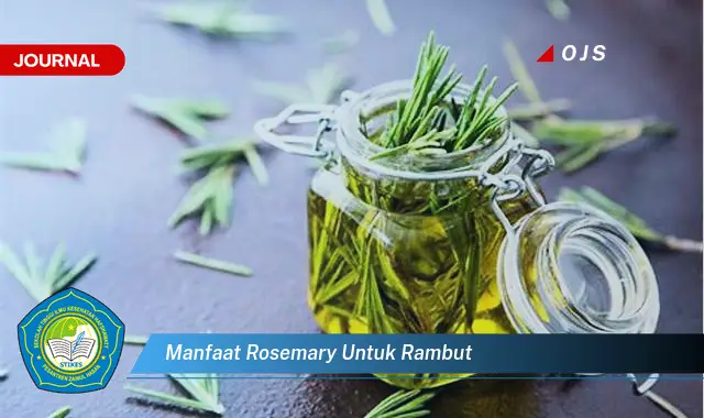 manfaat rosemary untuk rambut manfaat rosemary untuk rambut