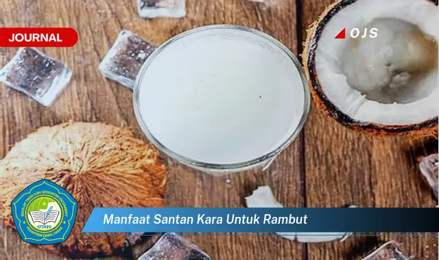 manfaat santan kara untuk rambut manfaat santan kara untuk rambut