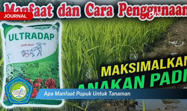 apa manfaat pupuk untuk tanaman apa manfaat pupuk untuk tanaman