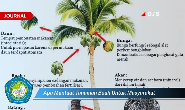 apa manfaat tanaman buah untuk masyarakat