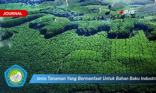 jenis tanaman yang bermanfaat untuk bahan baku industri adalah