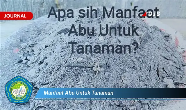 manfaat abu untuk tanaman manfaat abu untuk tanaman
