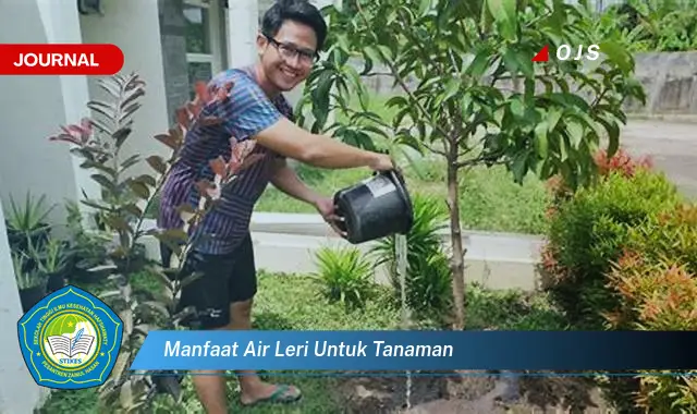 manfaat air leri untuk tanaman