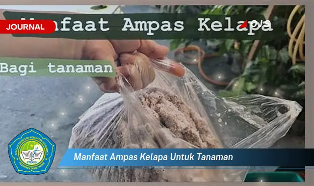 manfaat ampas kelapa untuk tanaman