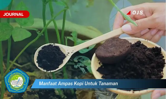 manfaat ampas kopi untuk tanaman