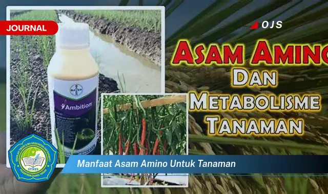 manfaat asam amino untuk tanaman