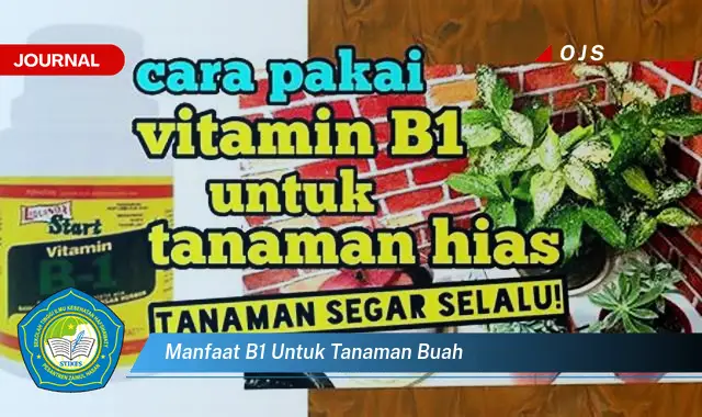 manfaat b1 untuk tanaman buah