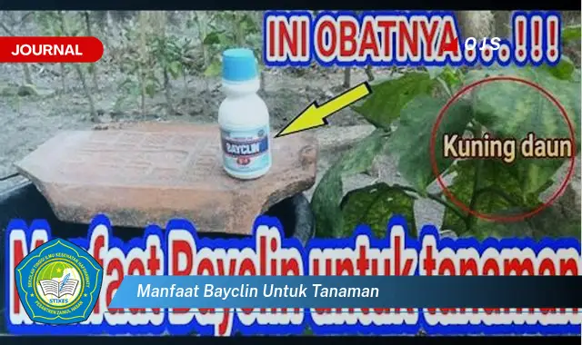 manfaat bayclin untuk tanaman manfaat bayclin untuk tanaman
