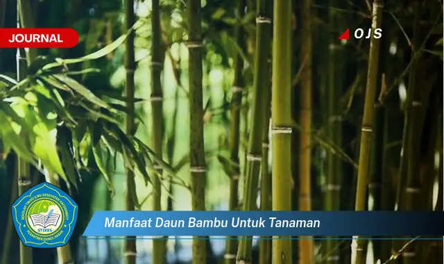 manfaat daun bambu untuk tanaman