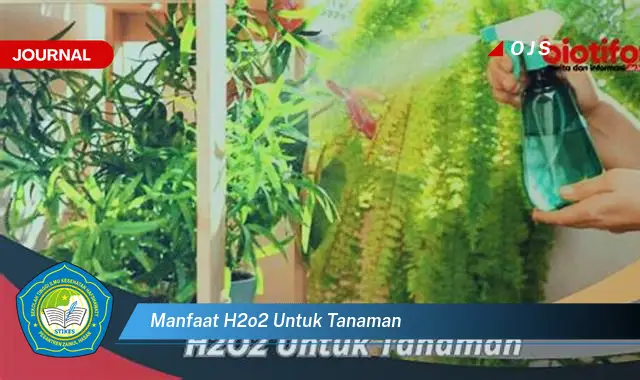 manfaat h2o2 untuk tanaman manfaat h2o2 untuk tanaman