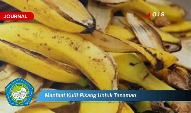 manfaat kulit pisang untuk tanaman