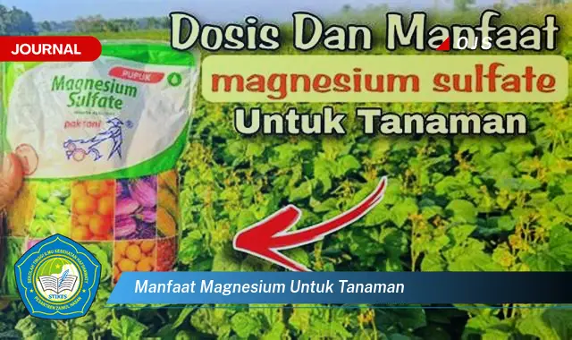 manfaat magnesium untuk tanaman