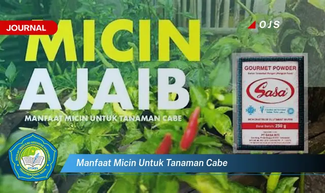 manfaat micin untuk tanaman cabe