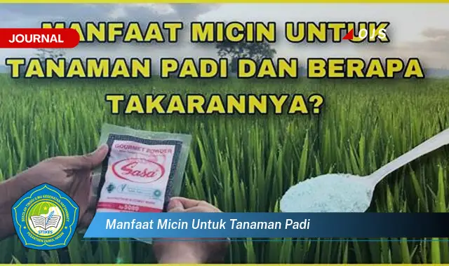 manfaat micin untuk tanaman padi