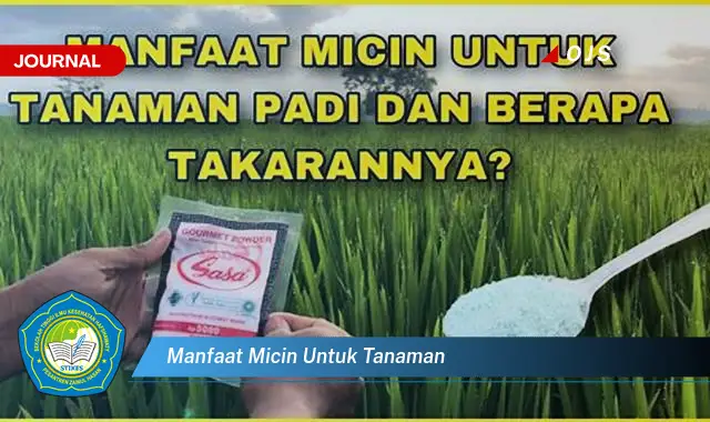 manfaat micin untuk tanaman