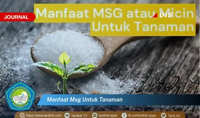 manfaat msg untuk tanaman