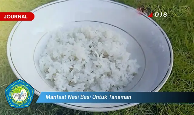 manfaat nasi basi untuk tanaman manfaat nasi basi untuk tanaman