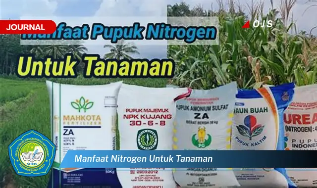manfaat nitrogen untuk tanaman manfaat nitrogen untuk tanaman