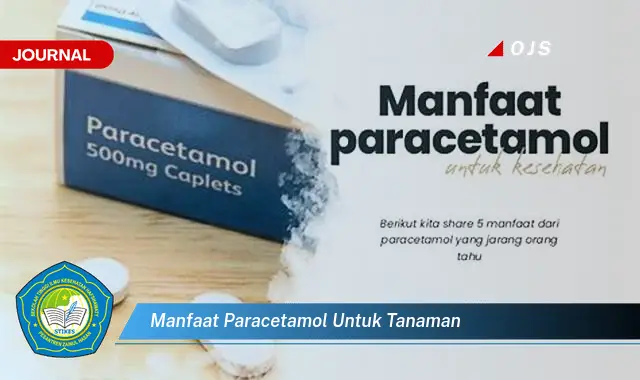 Temukan 6 Manfaat Paracetamol untuk Tanaman yang Jarang Diketahui - E-Journal