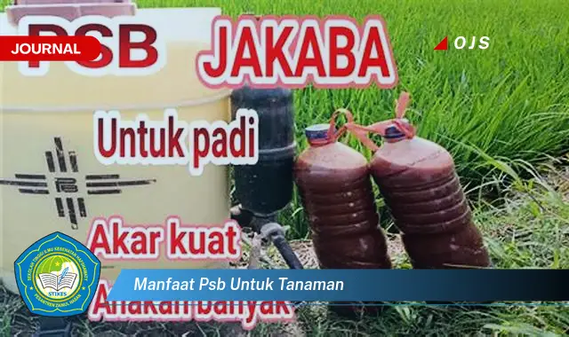manfaat psb untuk tanaman manfaat psb untuk tanaman