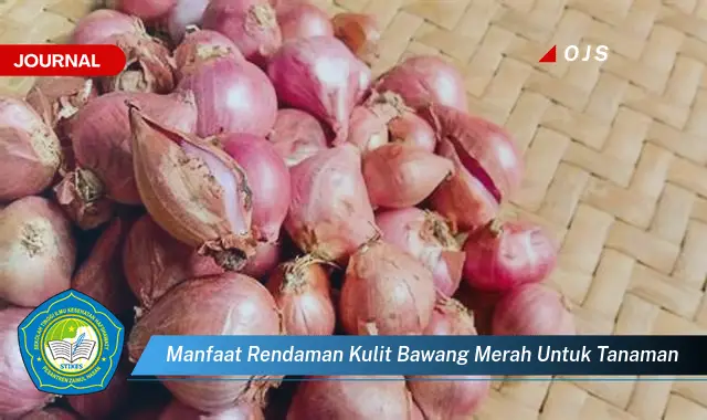 manfaat rendaman kulit bawang merah untuk tanaman