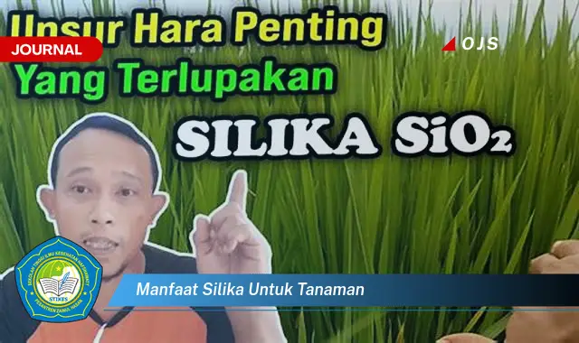 manfaat silika untuk tanaman