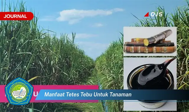 manfaat tetes tebu untuk tanaman