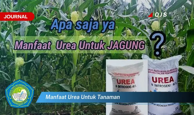 manfaat urea untuk tanaman