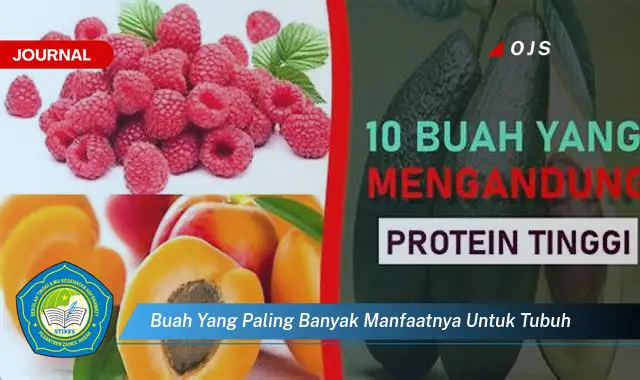 buah yang paling banyak manfaatnya untuk tubuh